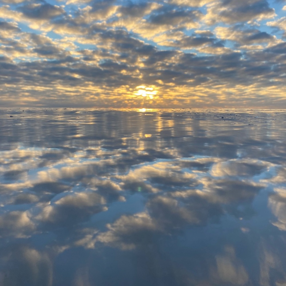 Meet your Posher, Lila